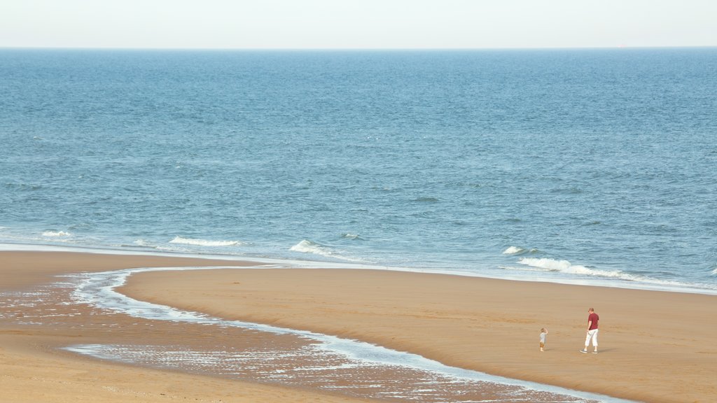 Balmedie Country Park showing general coastal views and a beach