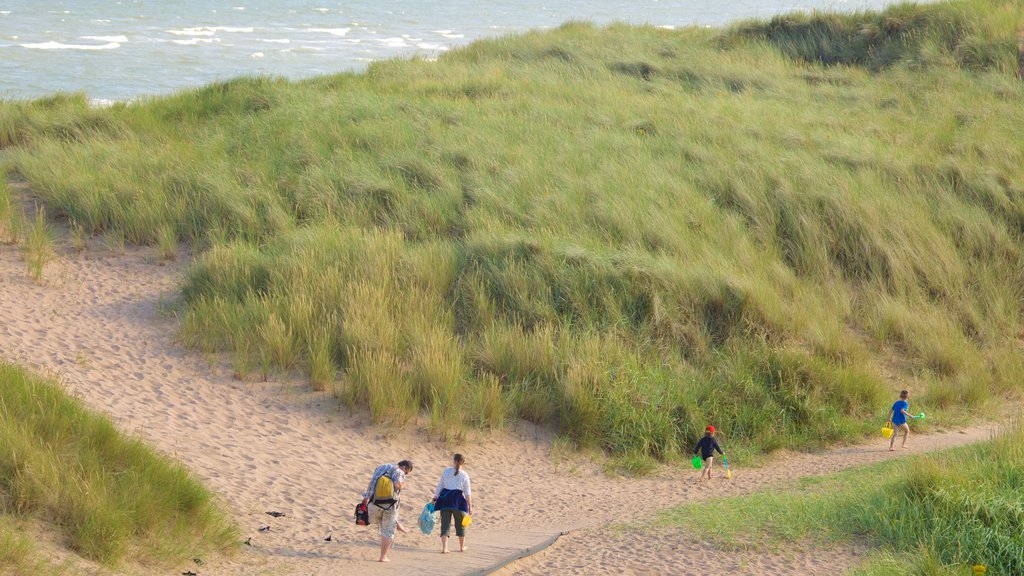 Balmedie Country Park showing a sandy beach as well as a family