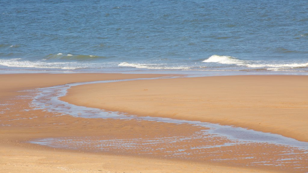 Balmedie Country Park mostrando uma praia de areia e paisagens litorâneas