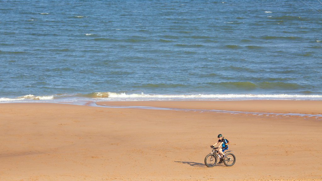 Balmedie Country Park que incluye vistas generales de la costa, una playa y ciclismo