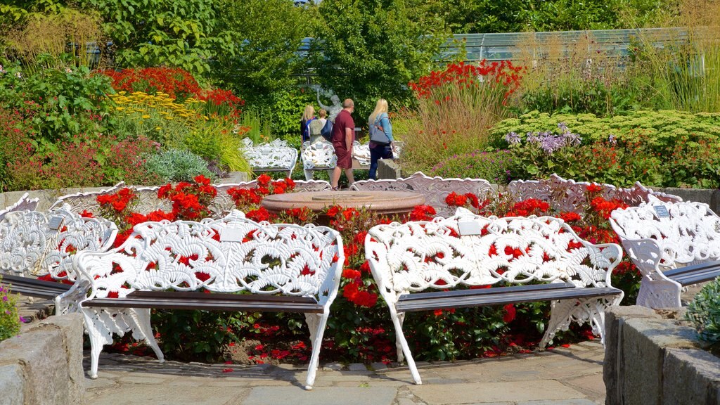 Duthie Park Winter Gardens showing a garden