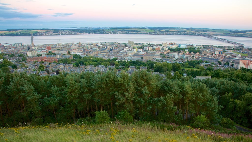 Dundee Law showing a city