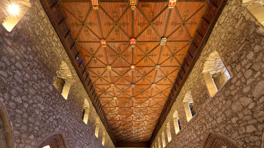 Cathedral of St. Machar mostrando vistas de interior, una iglesia o catedral y elementos religiosos