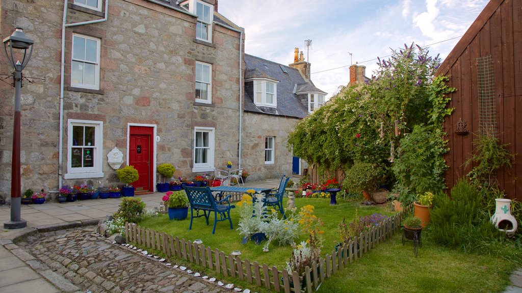 Aberdeen montrant un jardin et scènes de rue