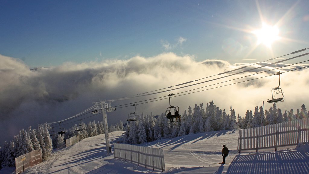 Stowe Mountain Resort showing a gondola, snow and mist or fog