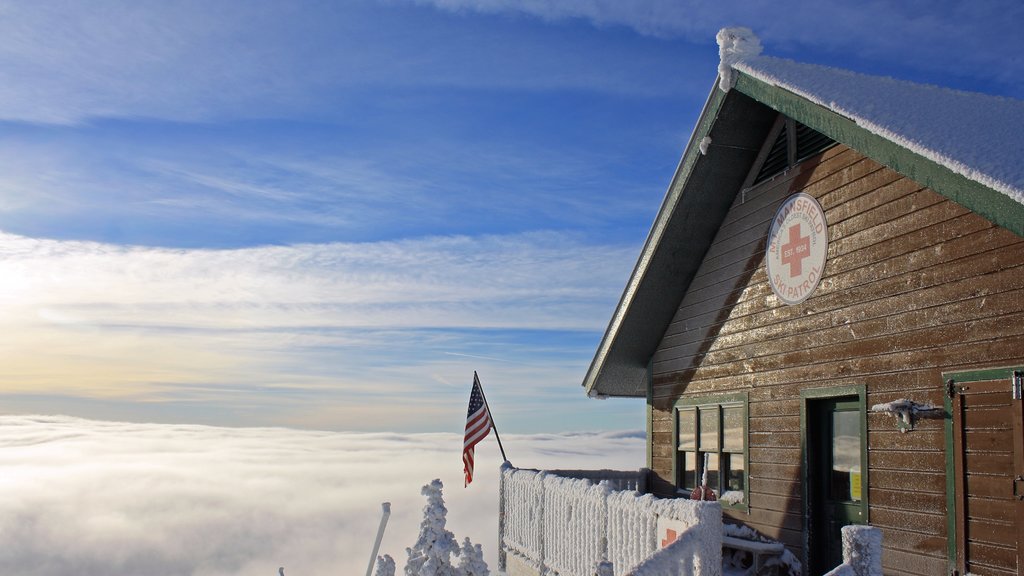 Stowe Mountain Resort mostrando niebla o neblina y nieve