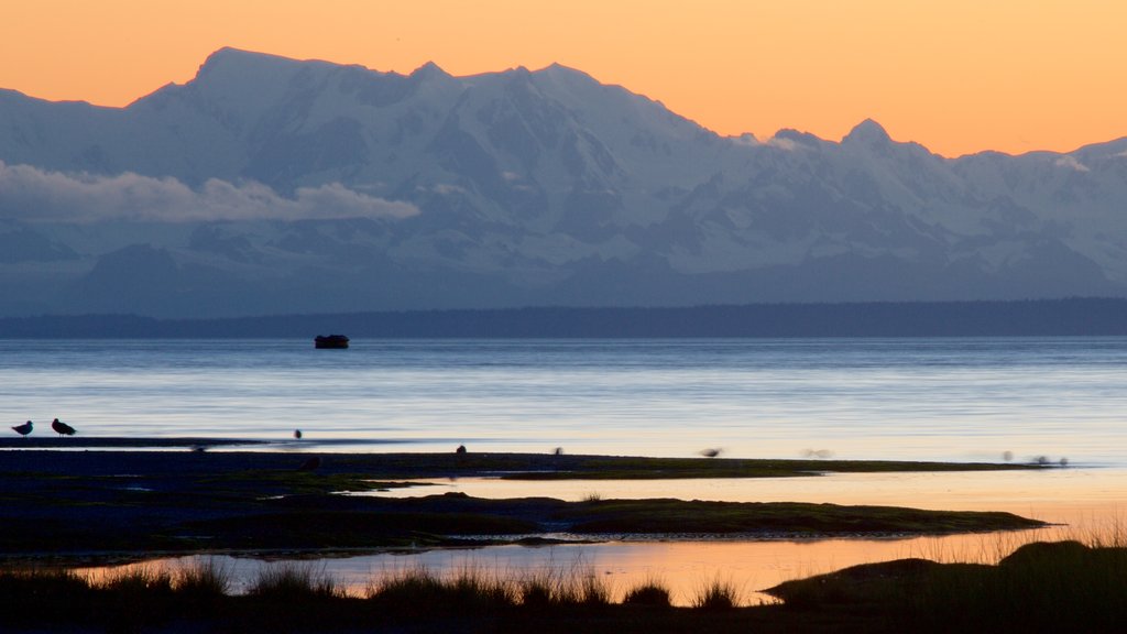 Anchorage mostrando una puesta de sol y una playa de arena