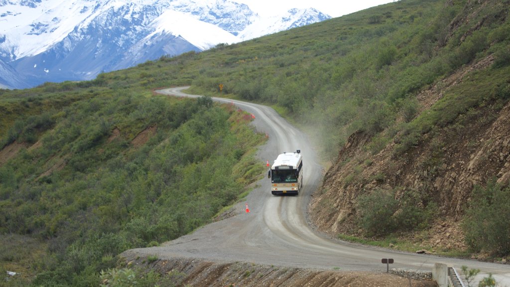 Denali National Park mostrando passeios