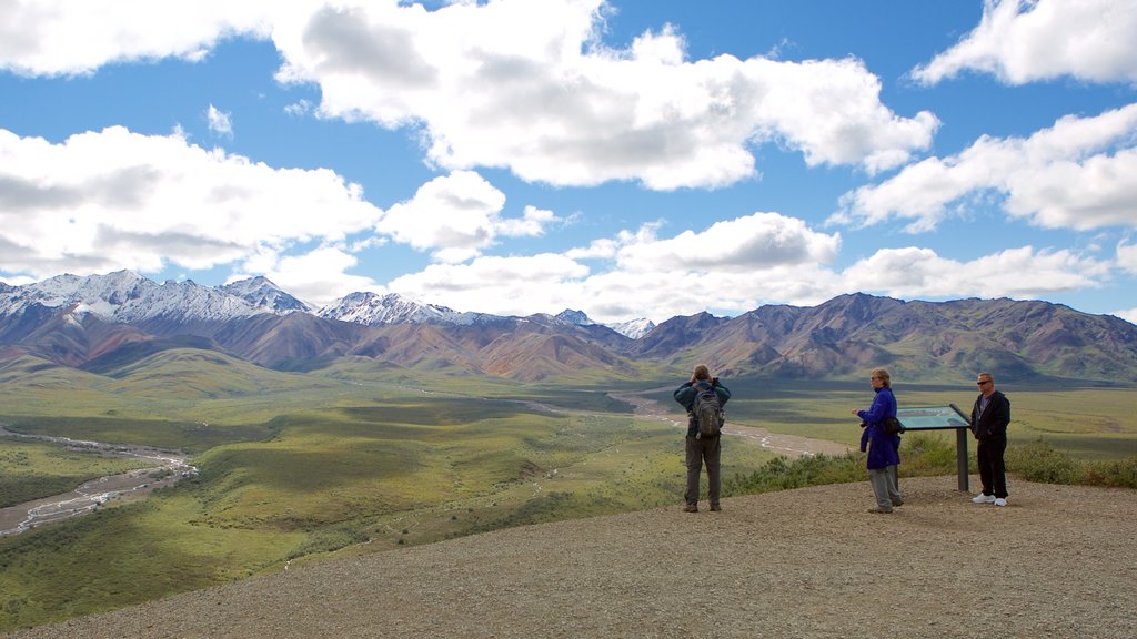 Denali National Park caracterizando paisagens e montanhas assim como um pequeno grupo de pessoas