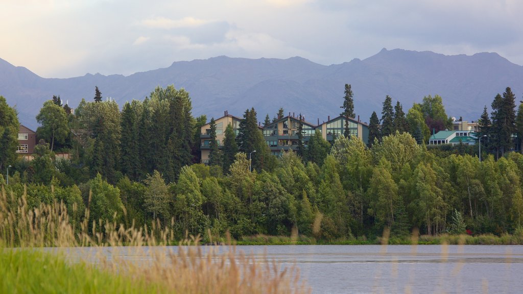 Tony Knowles Coastal Trail showing forests