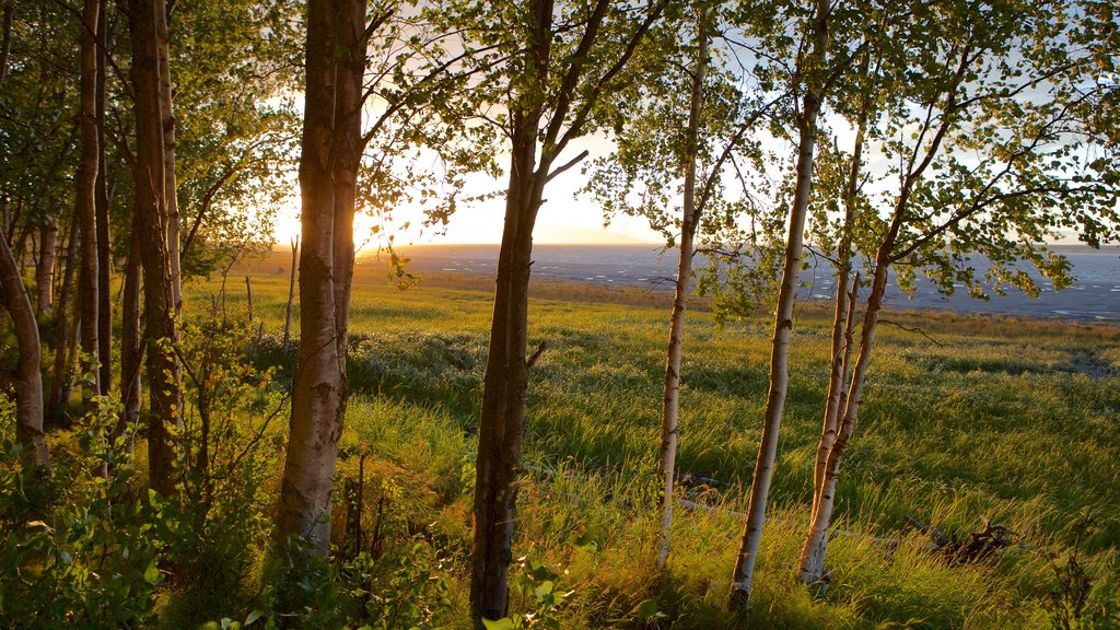 Tony Knowles Coastal Trail que inclui um pôr do sol e cenas tranquilas