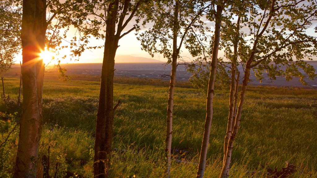 Ruta costera Tony Knowles mostrando un atardecer y escenas tranquilas