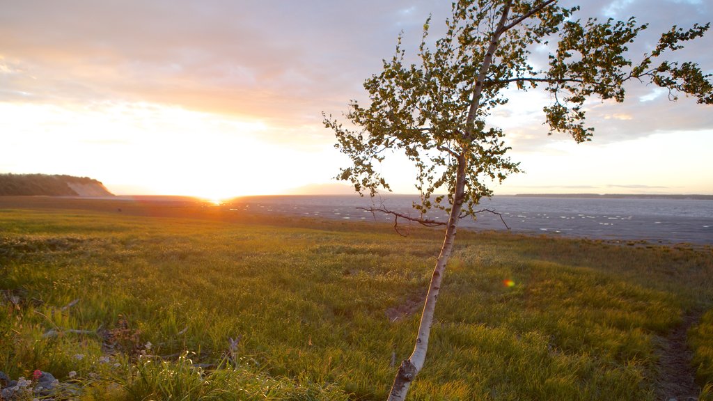 Tony Knowles Coastal Trail fasiliteter samt solnedgang og rolig landskap