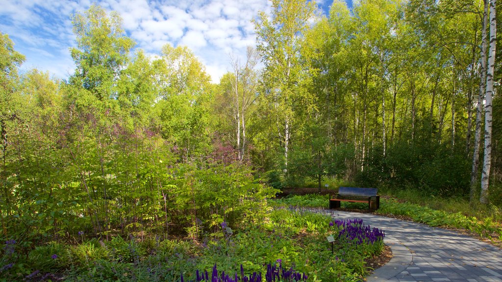 Alaska Botanical Garden showing forest scenes and a garden