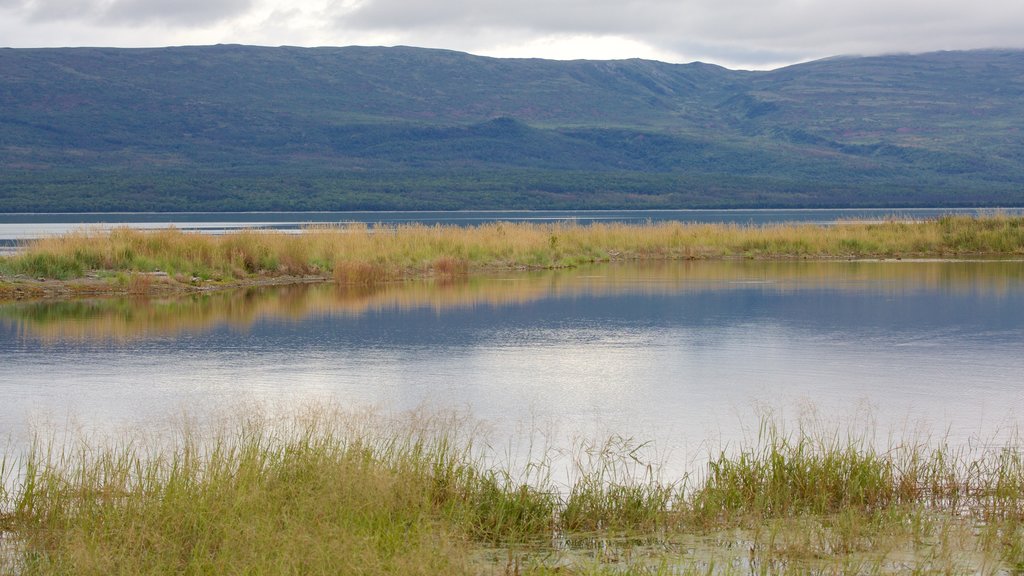 King Salmon featuring a river or creek