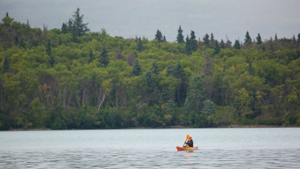 King Salmon showing kayaking or canoeing