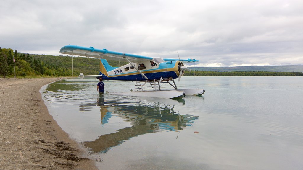 King Salmon which includes a sandy beach