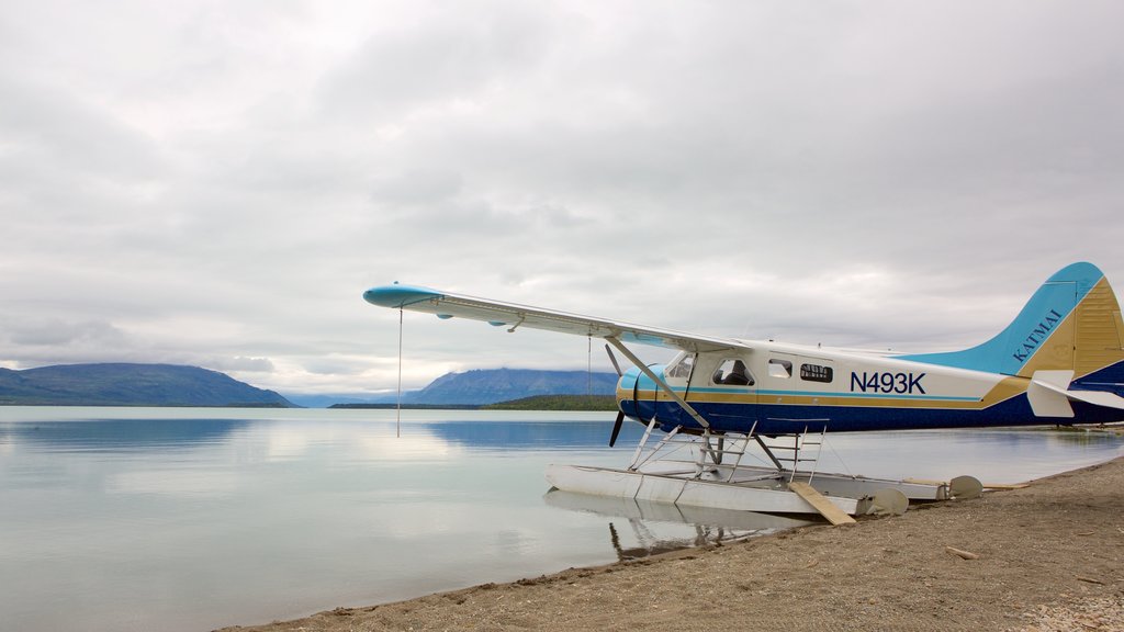 King Salmon which includes general coastal views and a beach