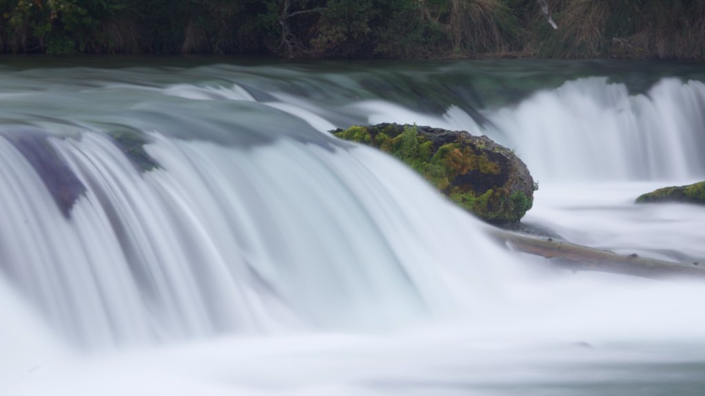 King Salmon toont een rivier of beek