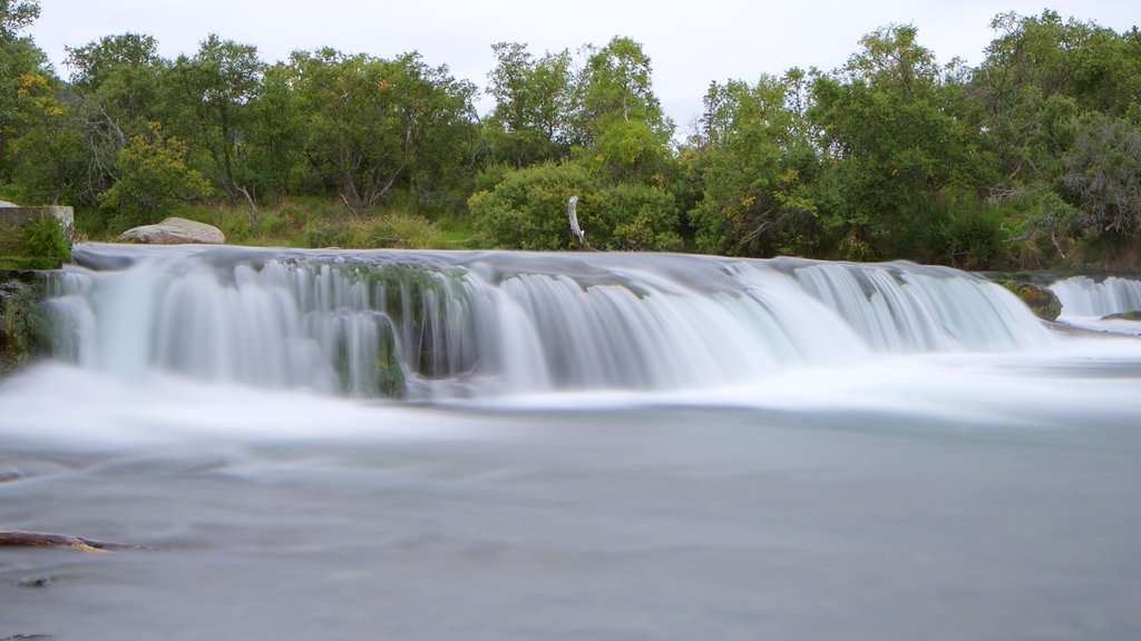 King Salmon showing a river or creek