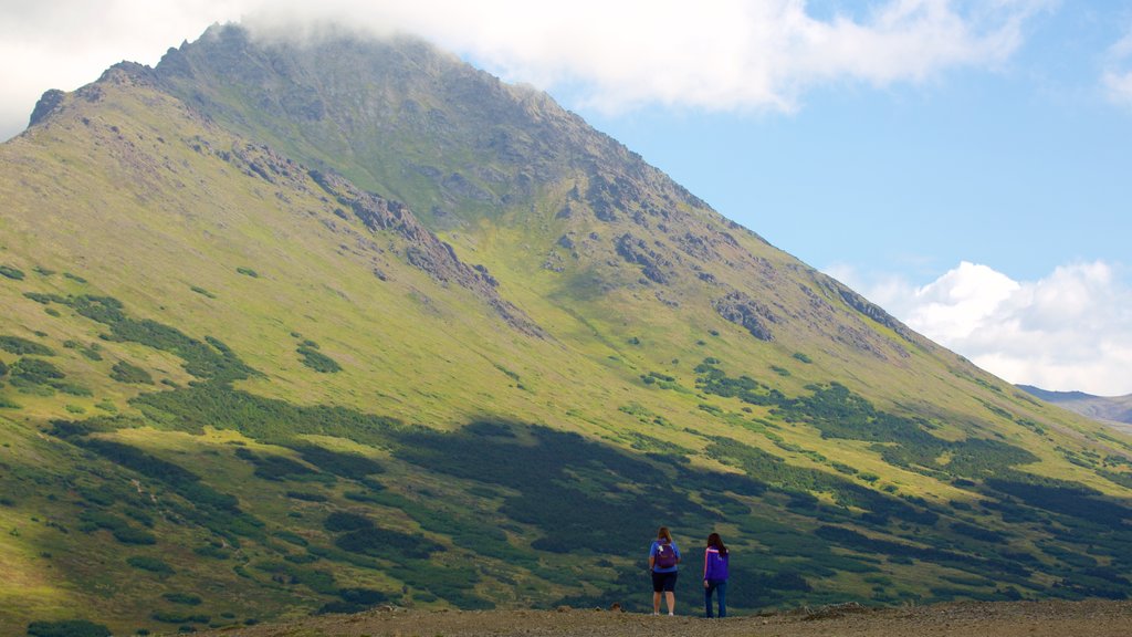 Flattop Trail showing mountains and hiking or walking