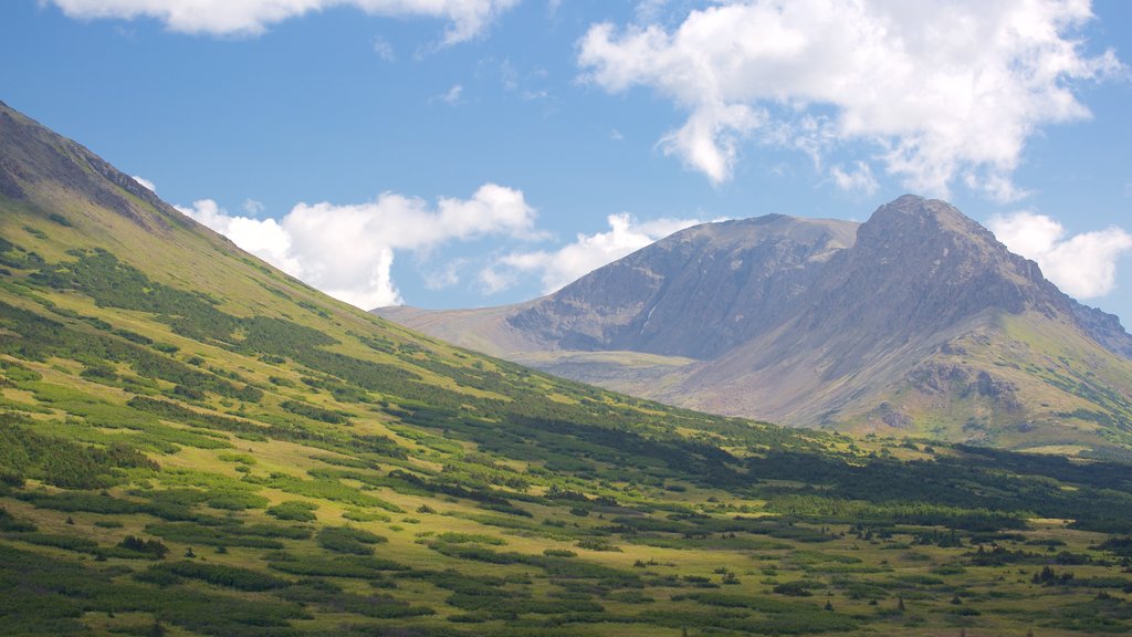 Flattop Trail showing mountains