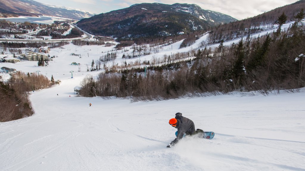 Marble Mountain showing snow, snowboarding and forest scenes