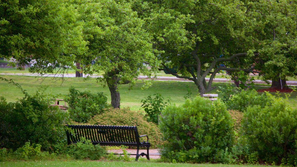 Burlington showing a park