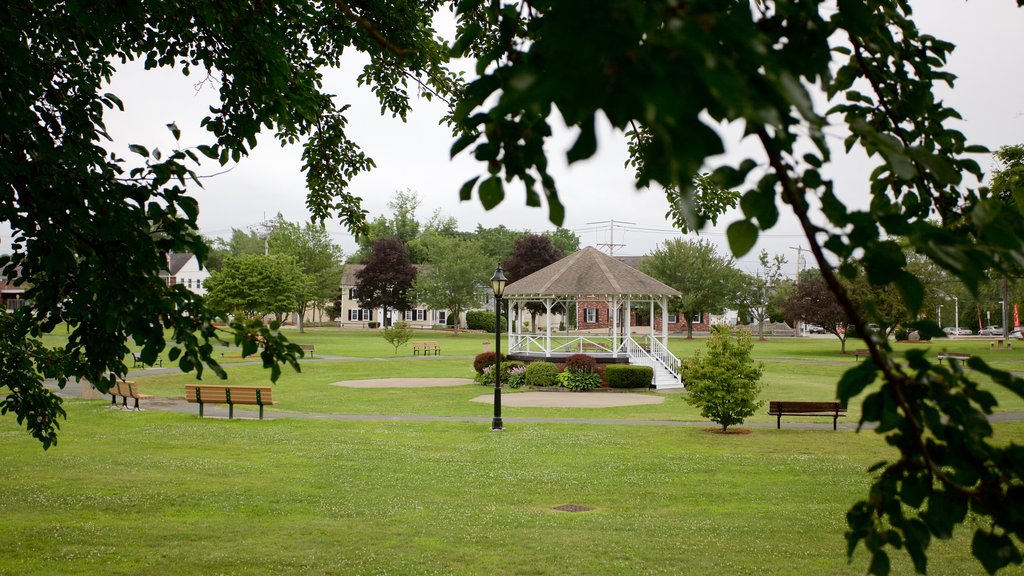 Burlington featuring a park