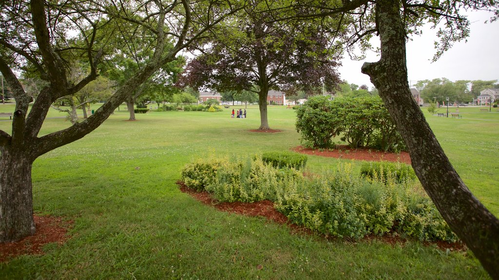 Burlington ofreciendo un jardín