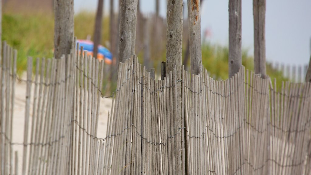 Atlantic City showing a sandy beach and general coastal views