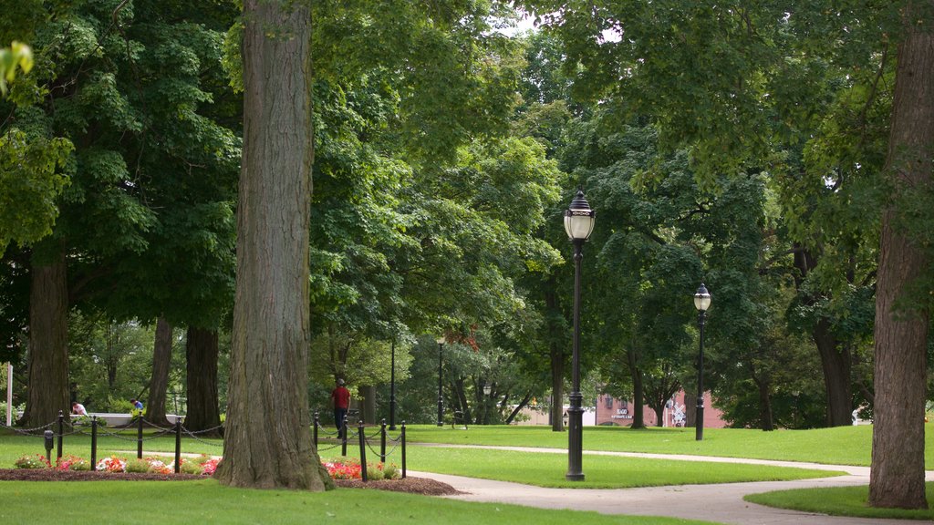 Waltham featuring a park