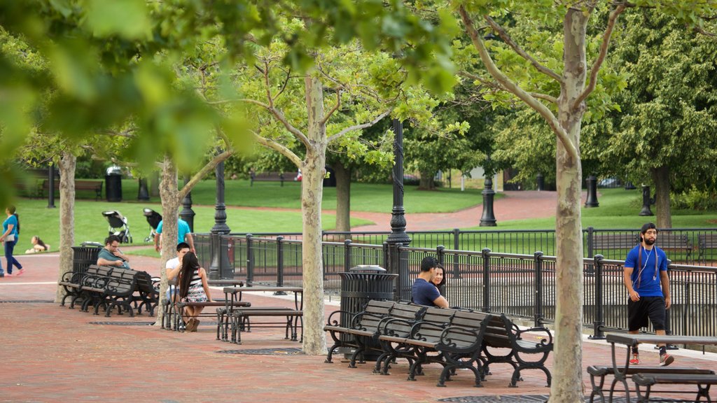 East Boston showing a garden