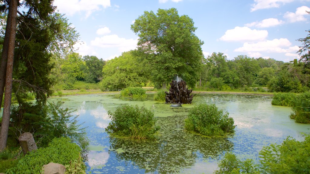 Duke Gardens showing a pond and a park