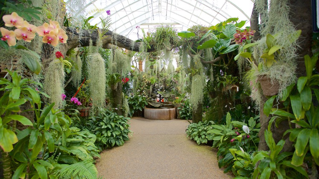 Duke Gardens showing a park, flowers and interior views