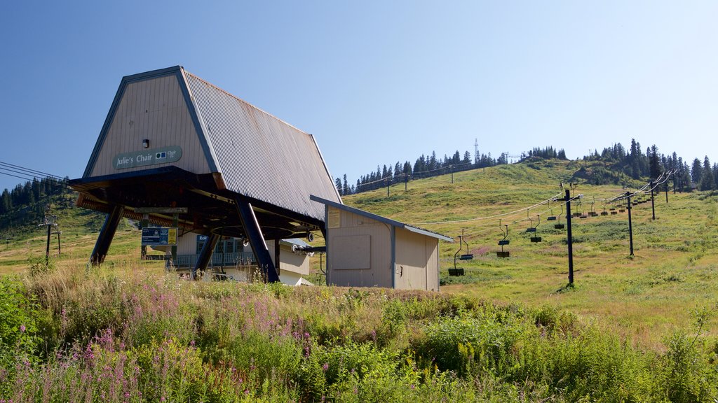 Summit at Snoqualmie Summit Central showing a gondola