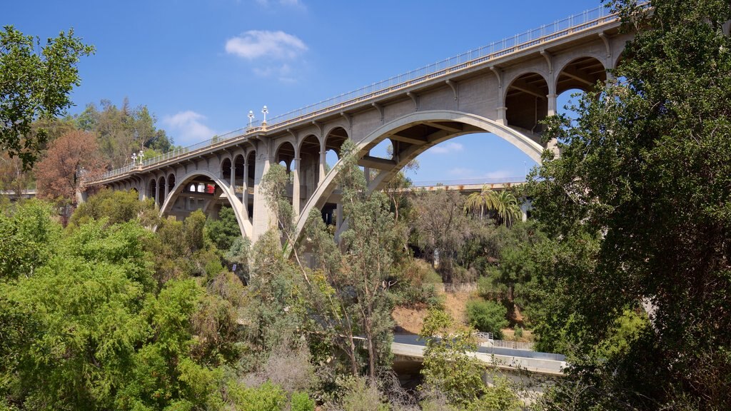 Pasadena showing a bridge