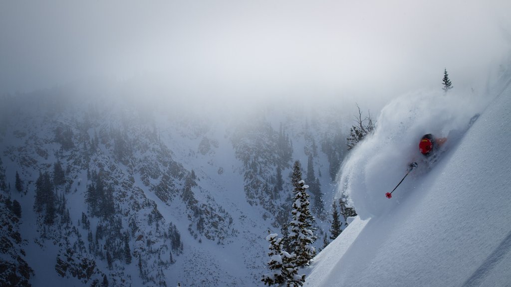 Solitude Mountain featuring snow skiing, snow and mountains