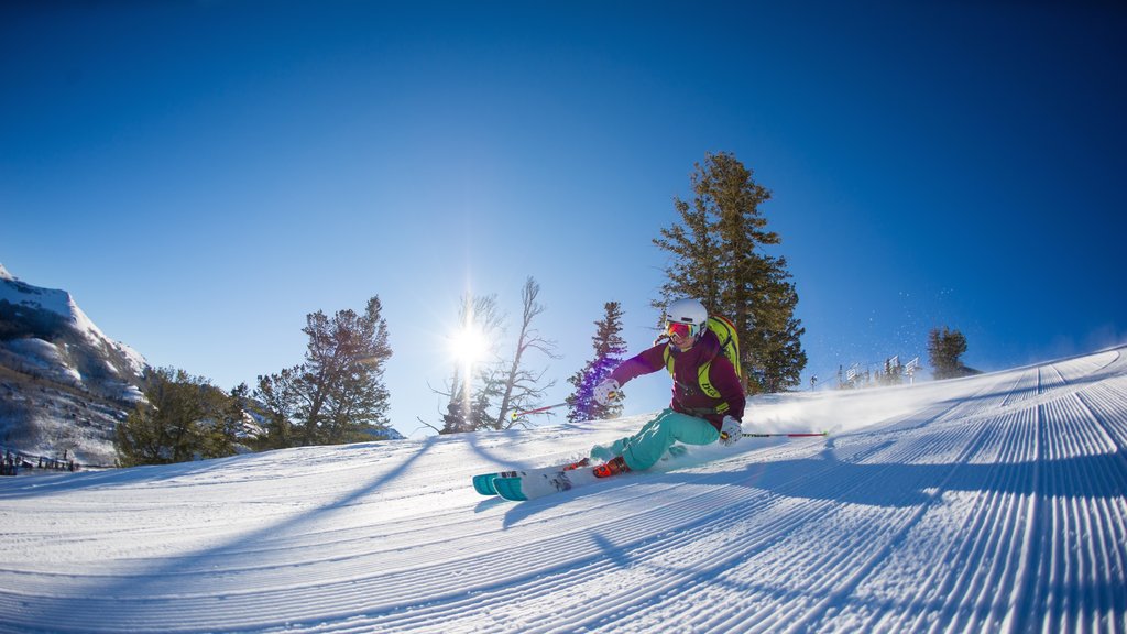 Solitude Mountain mostrando esquiar en la nieve y nieve