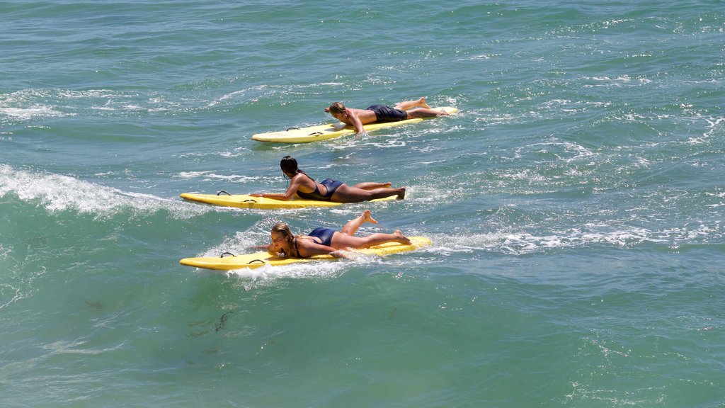 Hermosa Beach showing surfing and a sandy beach as well as a small group of people