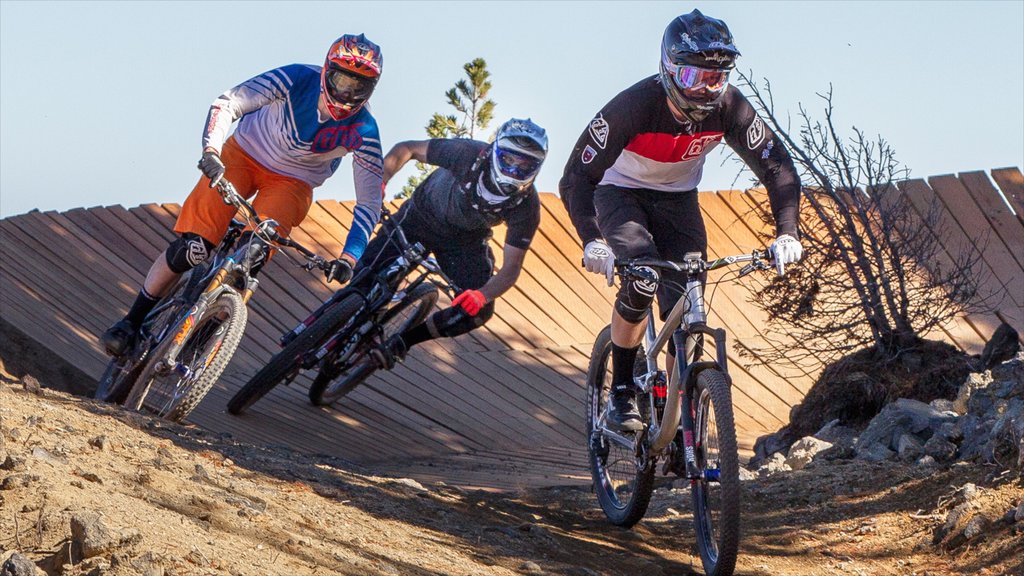 Mt Bachelor Ski Resort que incluye bicicletas de montaña y un evento deportivo