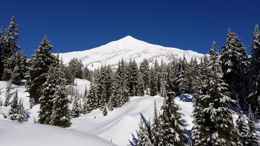 Mt Bachelor Ski Resort mostrando nieve, montañas y paisajes forestales