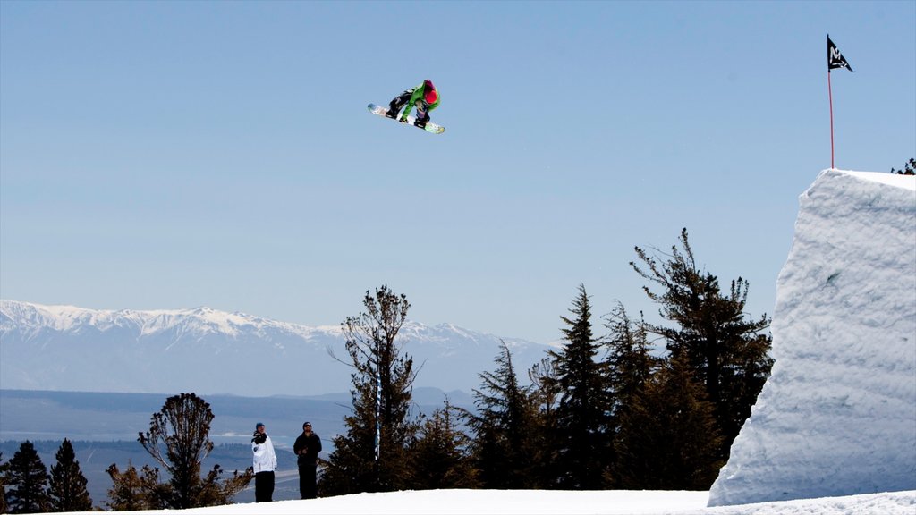 Mammoth Mountain Ski Resort mostrando snowboard y nieve