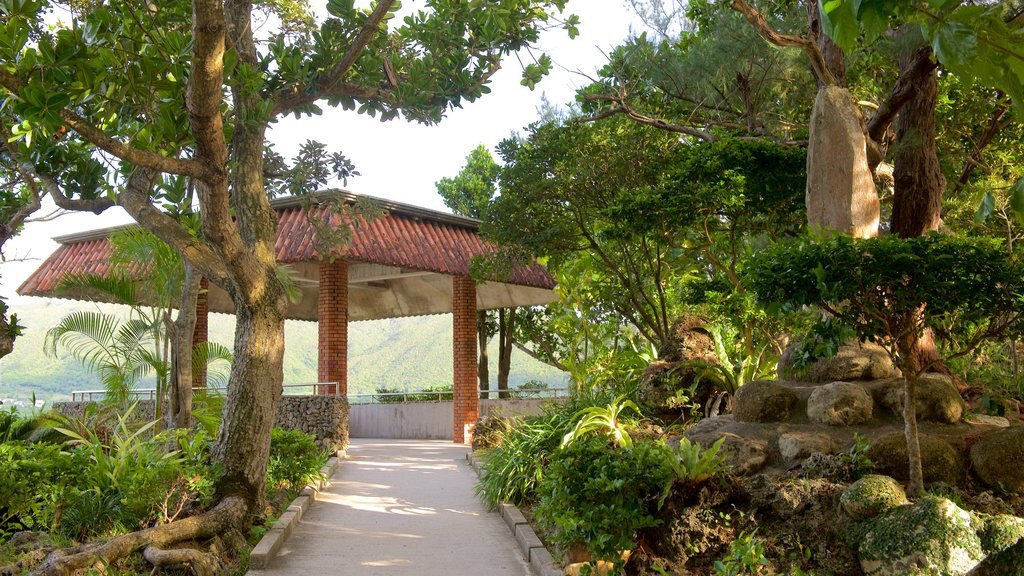 Parc Kabira mettant en vedette jardin