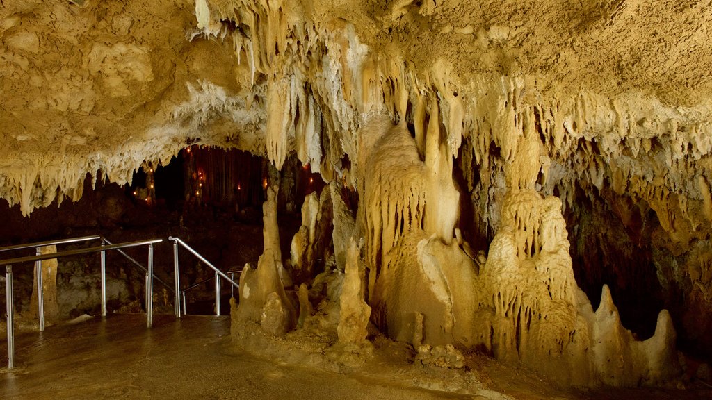 Ishigaki Island Limestone Cave showing caving and caves