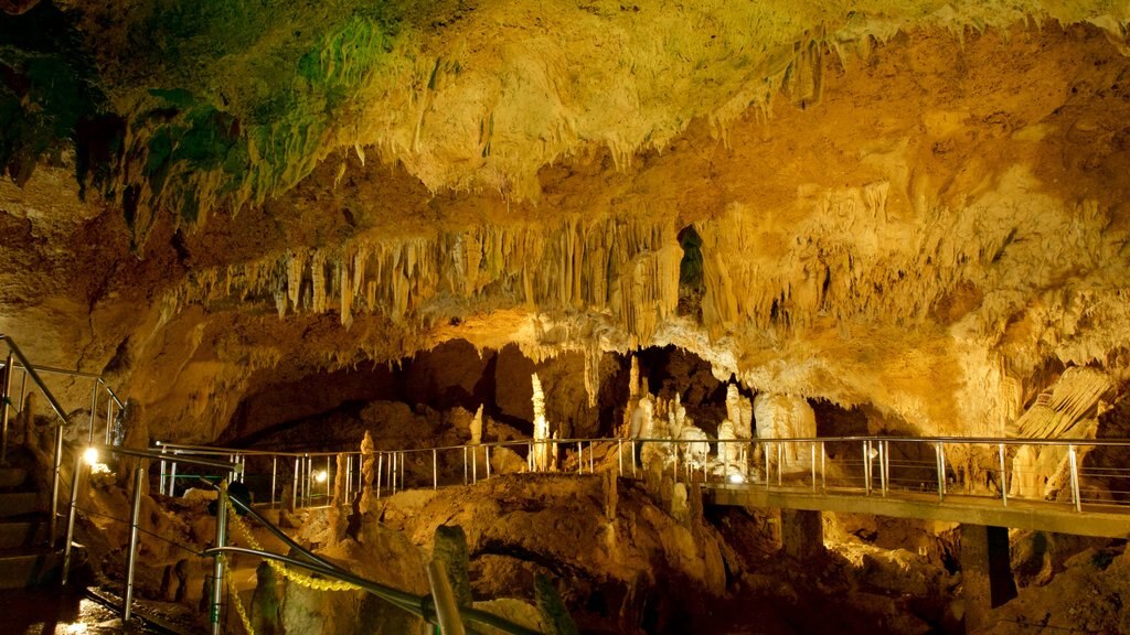 Cueva caliza de la isla de Ishigaki ofreciendo cuevas