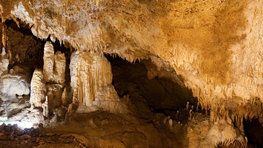 Cueva caliza de la isla de Ishigaki mostrando cuevas y espeleología