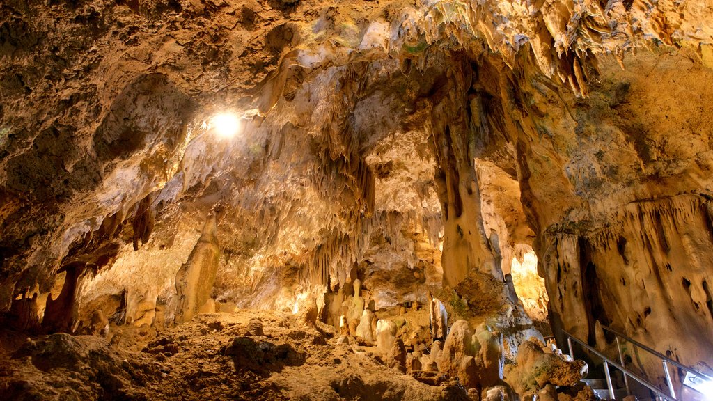 Ishigaki Island Limestone Cave showing caves and caving