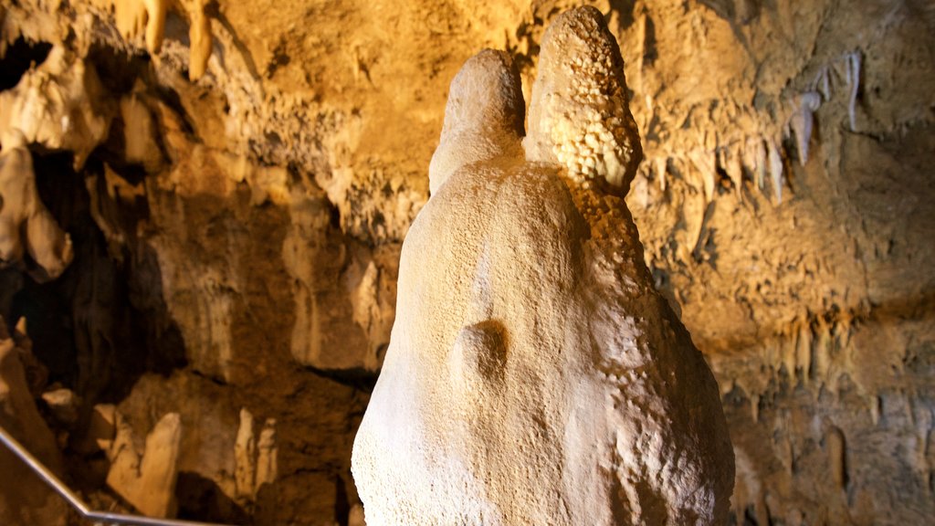 Gruta de Calcário da Ilha Ishigaki mostrando cavernas