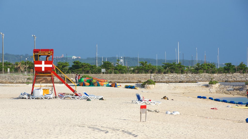 Okinawa showing a sandy beach